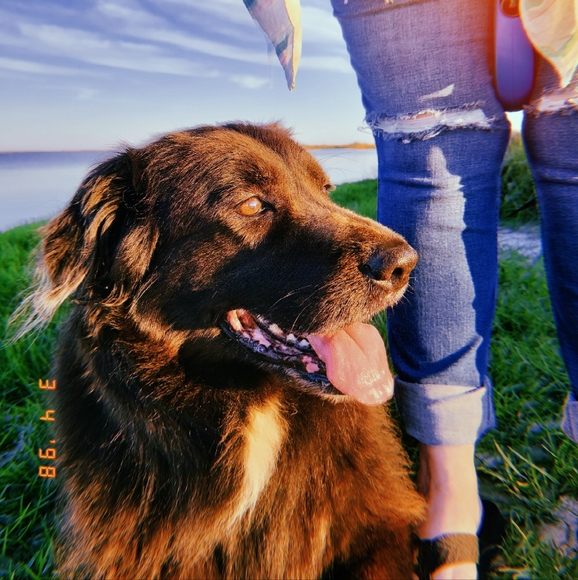 JOY MAC - Picture 3 of 3